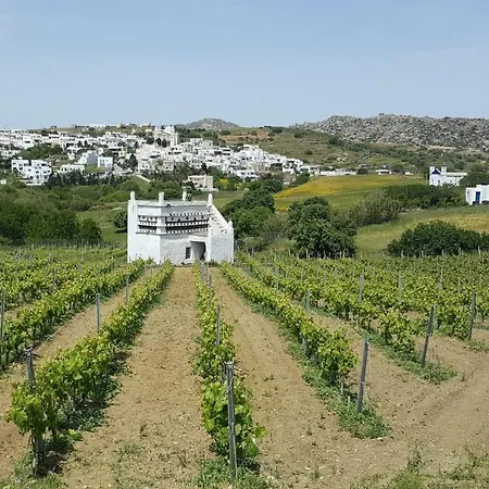 Βίλα Arokaria Στενή