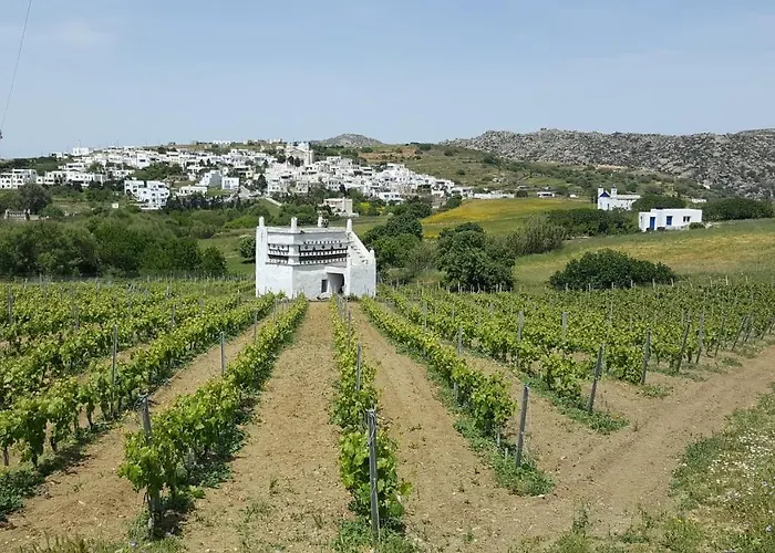 Βίλα Arokaria Στενή